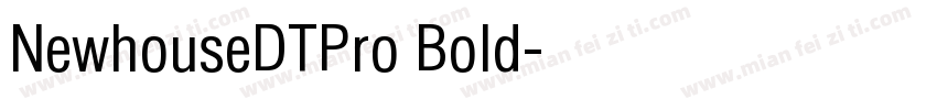 NewhouseDTPro Bold字体转换